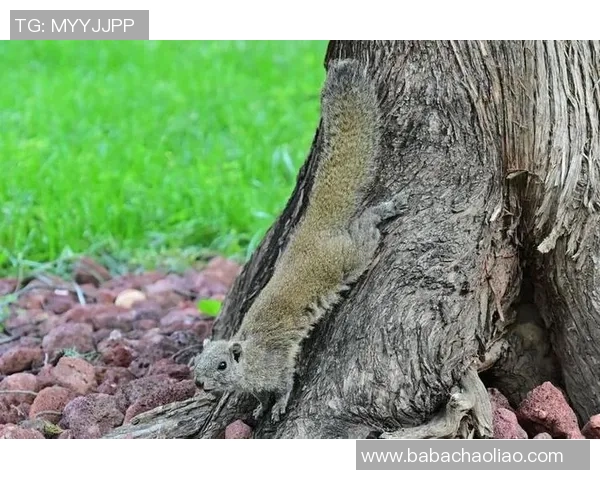 赌场内吸烟政策调整探索客户需求与员工健康的和谐共存之道